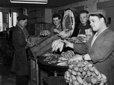 1955